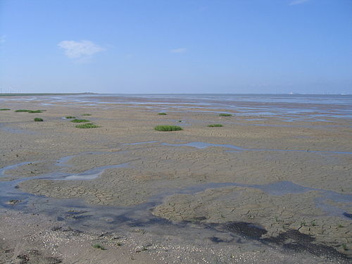 Nationalpark Niedersächsisches Wattenmeer
